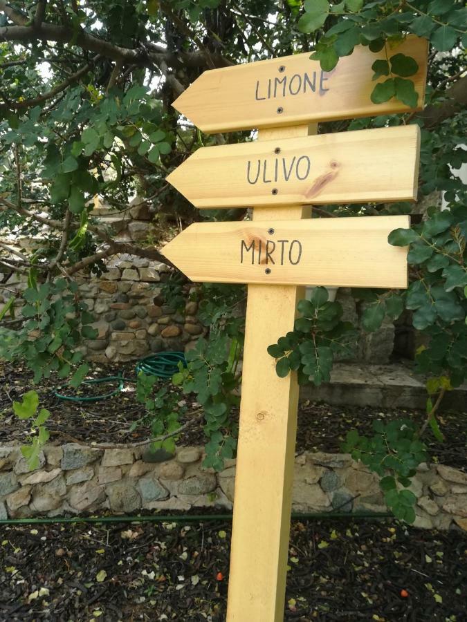 Ulivo Apartamento Quartu SantʼElena Exterior foto