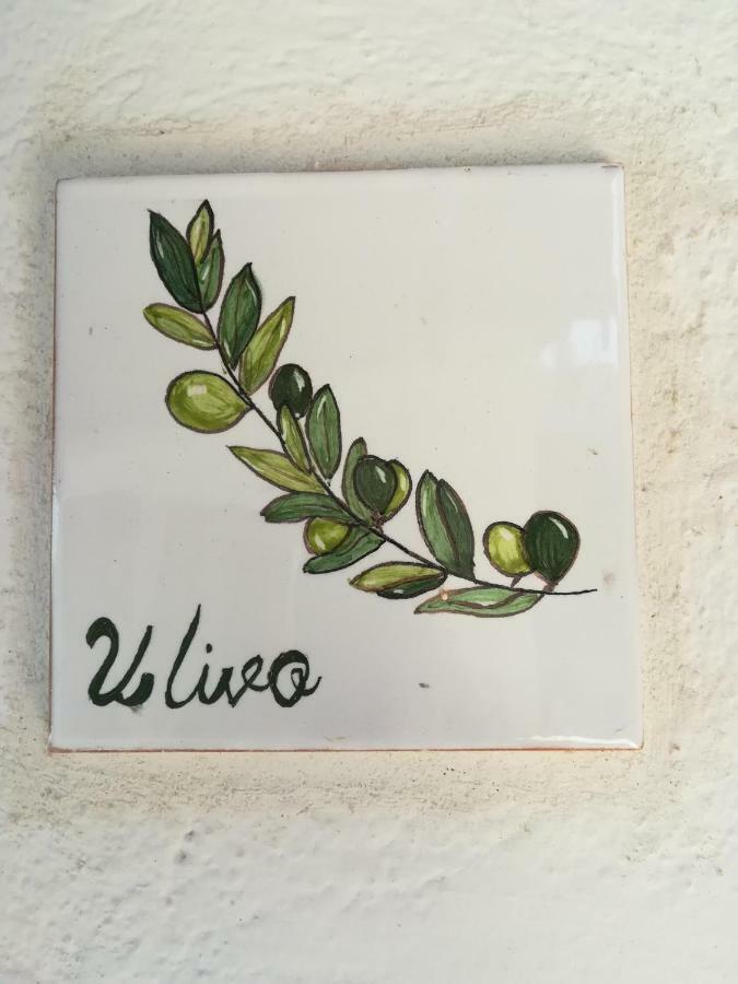 Ulivo Apartamento Quartu SantʼElena Exterior foto